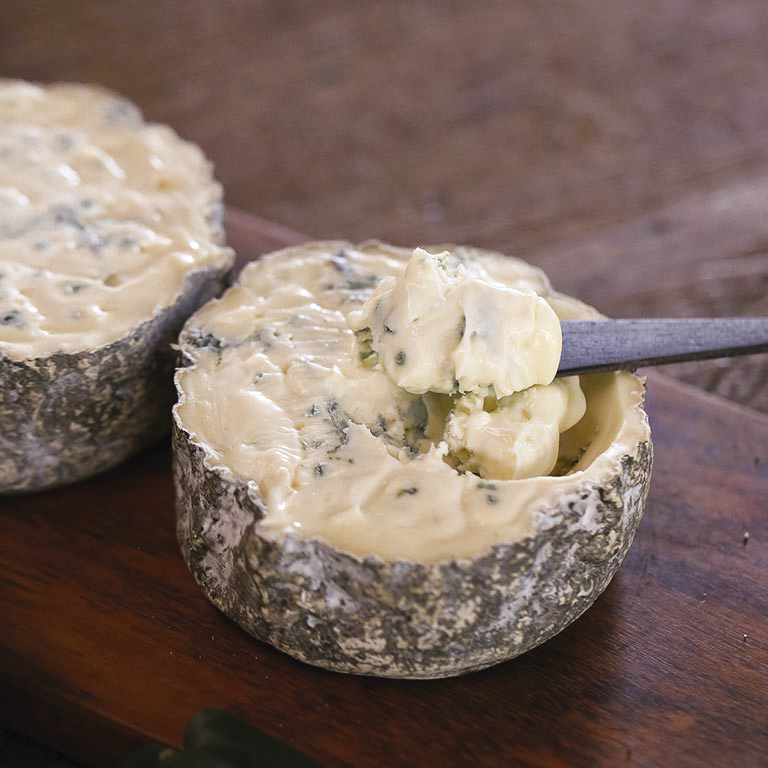 Queijo Tipo Gorgonzola Serra das Antas Fração 600g | Caixa 02 unidades